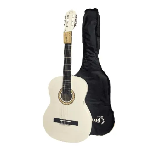 גיטרה אקוסטית לחנות כלי נגינה מוזיק צ'ויס.