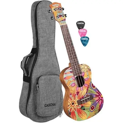 רביעי אולט טקסט: גיטרה קלה עם תיק נשיאה לציוד מוזיקלי.